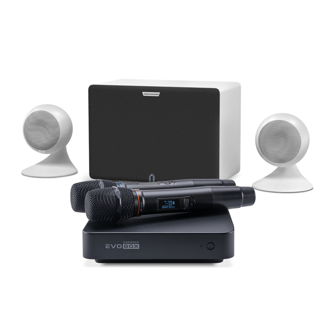 караоке-комплект EVOBOX Classic + EvoSound Sphere 2.1 в Димитровграде