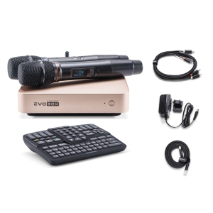 EVOBOX Classic караоке-система для дома в Димитровграде