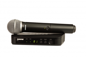 SHURE BLX24E/PG58 M17 вокальная радиосистема в Димитровграде